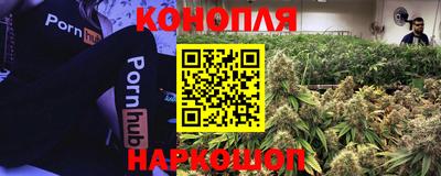 apvp Краснокаменск