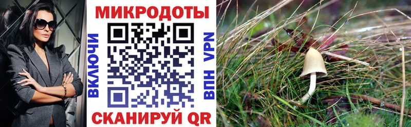 мега ССЫЛКА  Кинель  Галлюциногенные грибы прущие грибы 